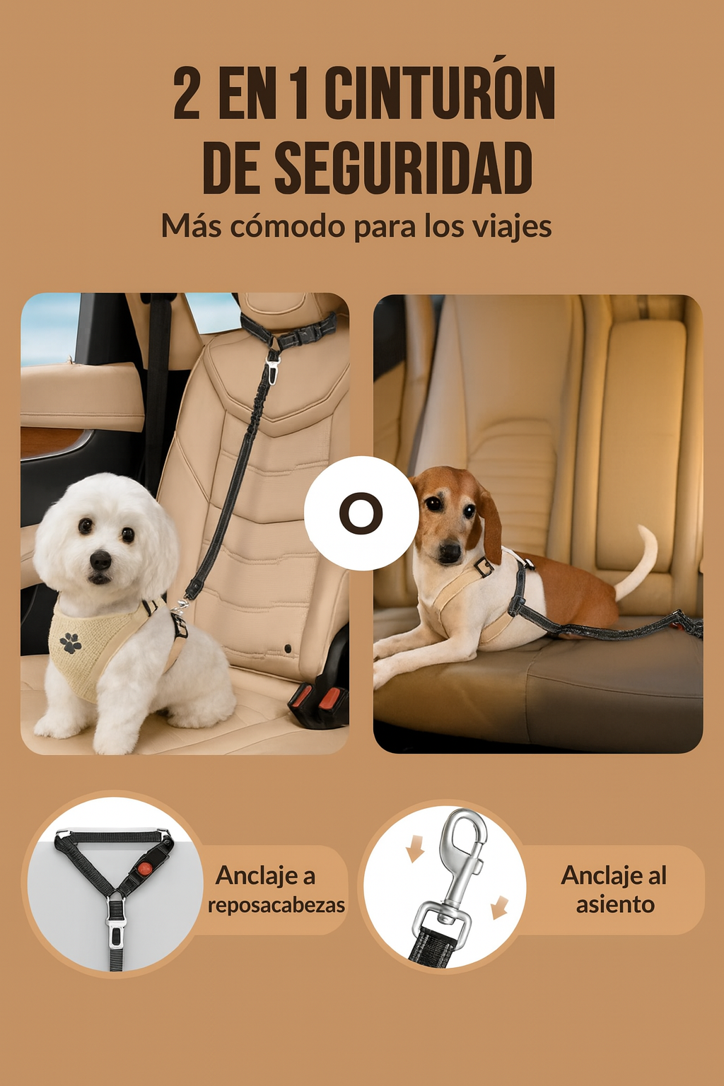 Cinturón de seguridad con sistema anti-tirones.