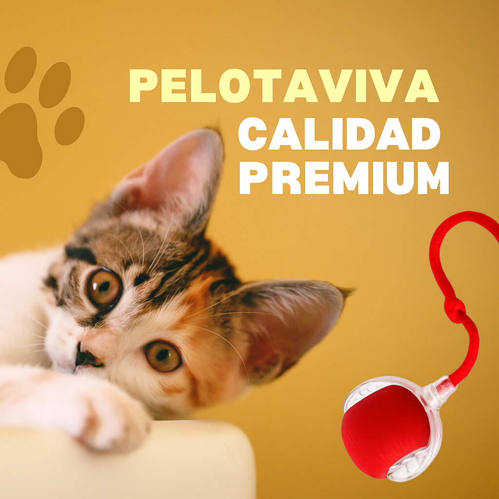 Pelota viva para gatos UP2