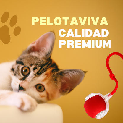 Pelota viva para gatos UP2