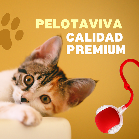 Pelota viva para gatos UP2